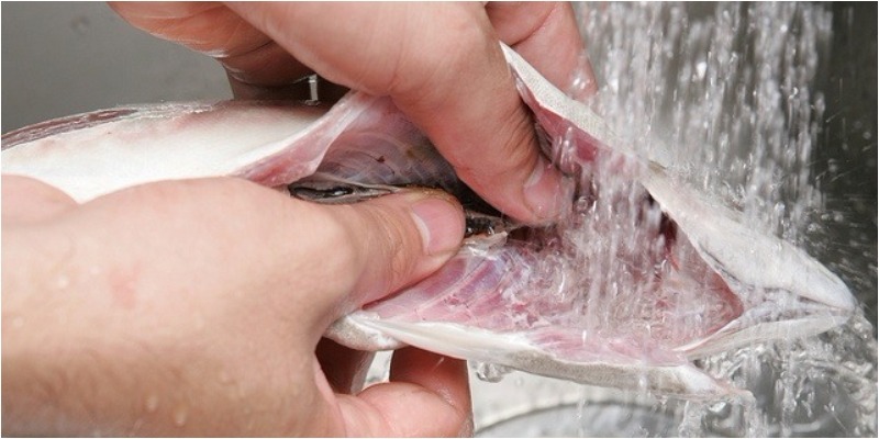 CÁCH SƠ CHẾ CÁ KHÔNG BỊ TANH - BÍ QUYẾT GIÚP MÓN ĂN NGON CHUẨN VỊ